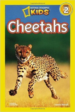 Cheetahs