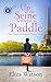 Up the Seine Without a Paddle (The Travel Mishaps of Caity Shaw, #2)