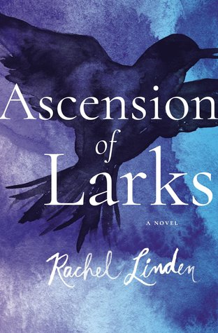 Ascension of Larks (Paperback)