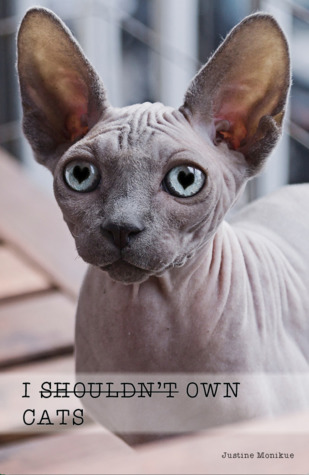 I Shouldn't Own Cats