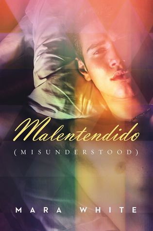 Malentendido: Misunderstood (Maldeamores, #2)