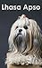 Lhasa Apso