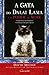 A Gata do Dalai Lama e o Poder de Miar A importância do mindfulness revelada por uma gata especial