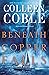 Beneath Copper Falls (Rock ...