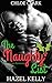 The Naughty List: A Christm...