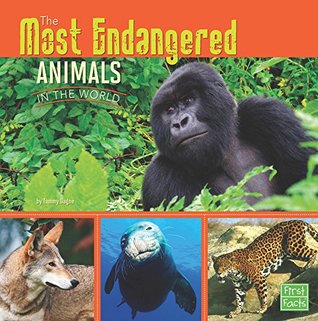 The Most Endangered Animals in the World (All About Animals)