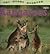 All About Animals: Kangaroos