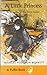 A Little Princess by Frances Hodgson Burnett