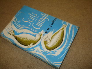 The Seals and the Curragh