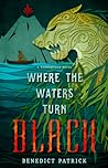 Where the Waters Turn Black by Benedict Patrick