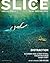 Slice Issue 19: Distraction (Slice Magazine)