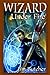 Wizard Under Fire (The Dresden Files Omnibus, #4)