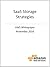 SaaS Storage Strategies