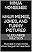 Ninja Nonsense: Ninja Memes, Jokes, and Funny Pictures
