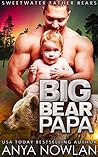 Big Bear Papa (Sweetwater Father Bears, #3)