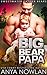 Big Bear Papa (Sweetwater Father Bears, #3)