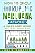 How to Grow Hydroponic Marijuana At Home by Jason Sabatini