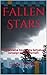 Fallen Stars: An Interpretive Novel of the Gettysburg Campaign and Its Aftermath