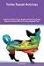Yorkie Russell Activities Y...