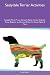Sealydale Terrier Activities Sealydale Terrier Tricks, Games & Agility Includes: Sealydale Terrier Beginner to Advanced Tricks, Fun Games, Agility & More
