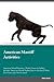 American Mastiff Activities American Mastiff Activities (Tric... by Adam Harris