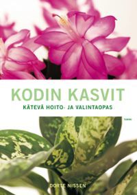 Kodin kasvit