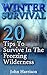Winter Survival: 20 Tips To Survive In The Freezing Wilderness: (Prepper's Guide, Survival Guide, Alternative Medicine, Emergency)