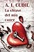 La chiave del mio cuore