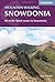 Mountain Walking In Snowdonia by Fletcher