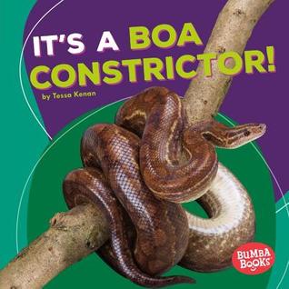 It's a Boa Constrictor! (Bumba Books ® ― Rain Forest Animals)
