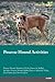 Posavac Hound Activities Posavac Hound Activities (Tricks, Ga... by Joe Bell