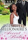 Billionaire's Black Secret Baby Billionaire's Black Secret Baby