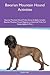 Bavarian Mountain Hound Act...