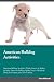 American Bulldog Activities...