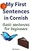 My First Sentences in Cornish: Basic Sentences in Cornish (Learn Cornish Book 5)