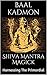 Shiva Mantra Magick: Harnes...