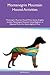 Montenegrin Mountain Hound ...