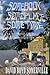 Somebody, Someplace, Sometime by David Boyd Somerville