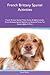 French Brittany Spaniel Act...