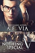 Nothing Special V