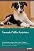 Smooth Collie Activities Sm...