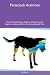 Patterjack Activities Patte...