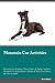 Mountain Cur Activities Mountain Cur Activities (Tricks, Game... by Victor Watson
