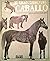El gran libro del caballo