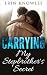 Romance: Carrying My Stepbrother's Secret