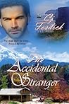 The Accidental Stranger (#2)