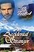 The Accidental Stranger (#2)