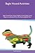 Bagle Hound Activities Bagle Hound Tricks, Games & Agility In... by Paul Rutherford