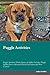 Puggle Activities Puggle Ac...