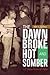 The Dawn Broke Hot and Somber: U.S. Race Riots of 1964